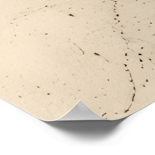 Poster Contemporary Geometric Harmony (Coin)