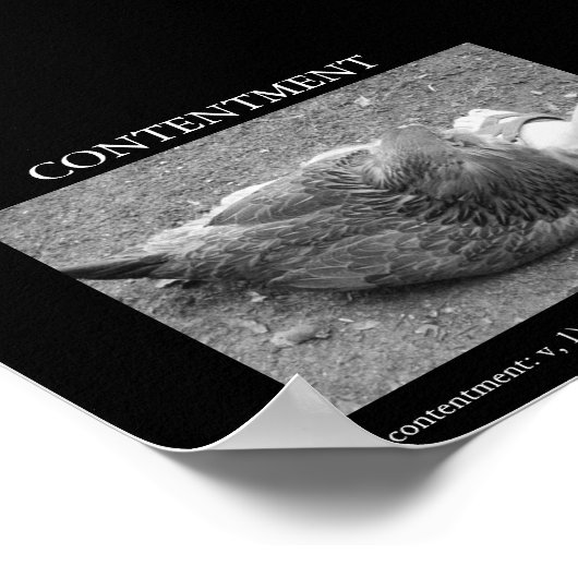 Poster Contentement (Coin)