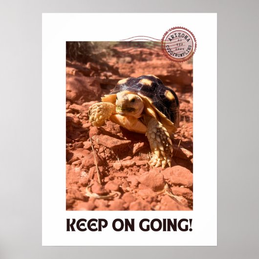 Poster Continuez à aller Inspirational Coddiwompling Turt (Devant)