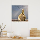 Poster Continuez à chercher l'affiche Sun (Cuisine)