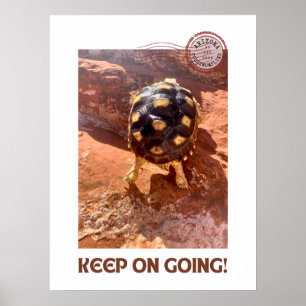 Poster Continuez à faire l'agitation Baby Sulcata randonn