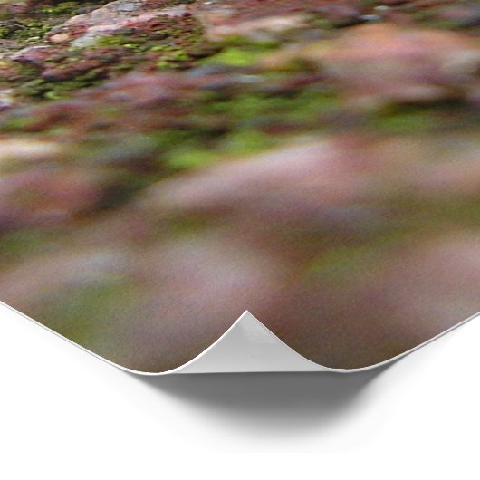 Poster Continuez ! -Français (Coin)