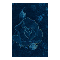 contour bleu rose