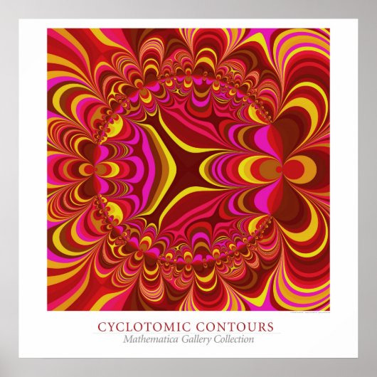 Poster Contours Cyclotomiques (Devant)