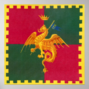 Poster Contrada del Drago (Dragon) Palio di Sienne