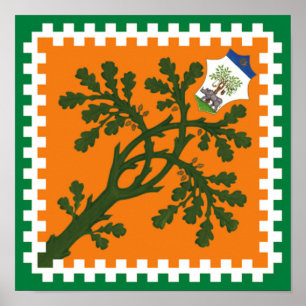 Poster Contrada della Selva (Forêt) Palio di Siena