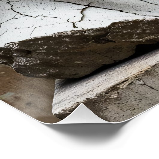 Poster Contrasting Plaster and Obsidian Busts (Coin)