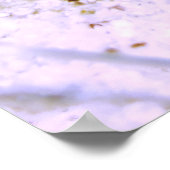 Poster Contredire Nudibranche (Coin)