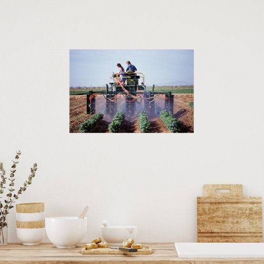 Poster Contrôle blanc (Cuisine)