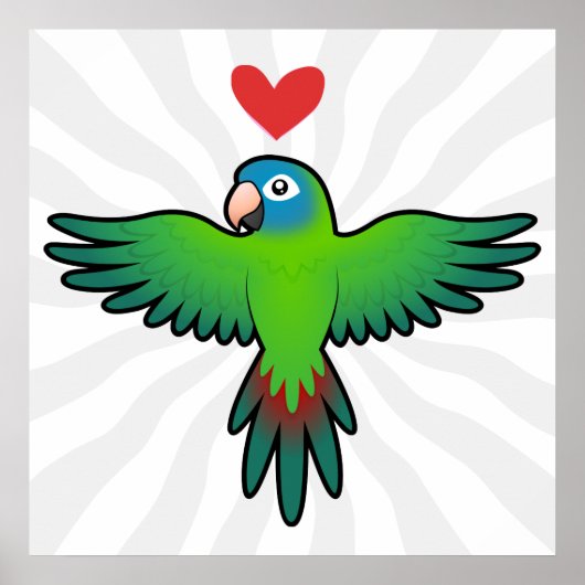 Poster Conure / Lorikeet / Amour de perroquet (Devant)