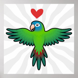 Poster Conure / Lorikeet / Parrot Love