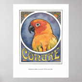 Poster Conure Nouveau (Devant)