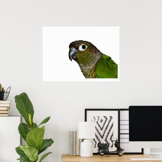 Poster Conure verte à mâcher (Bureau à domicile)