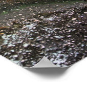 Poster Convergence (Coin)