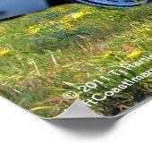 POSTER convertible 1971 Mo 280SE 3,5 (Coin)