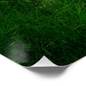 Poster Convict Lake Aspen Meadow Wall Art Nature Print (Coin)