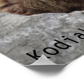 Poster Cook bear (Coin)