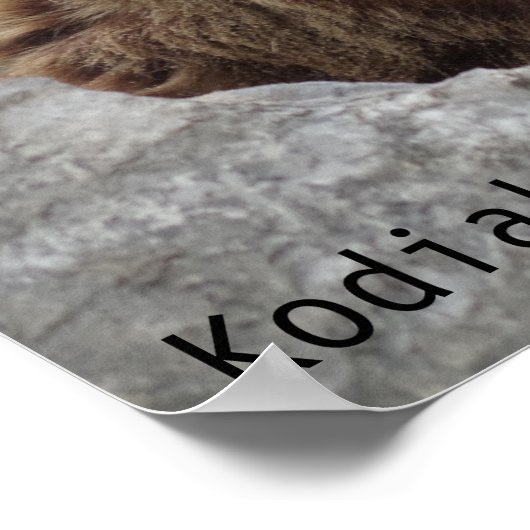 Poster Cook bear (Coin)