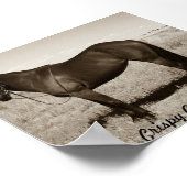 Poster Cookie (Coin)