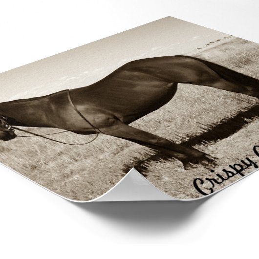 Poster Cookie (Coin)