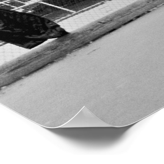 Poster Cookie (Coin)