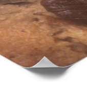 Poster Cookie à chips au chocolat (Coin)