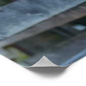 Poster Cookie Cow (Coin)