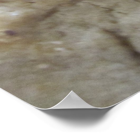 Poster Cookies de chips au chocolat (Coin)