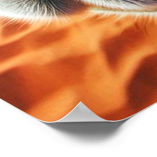 Poster cool Camel (Coin)