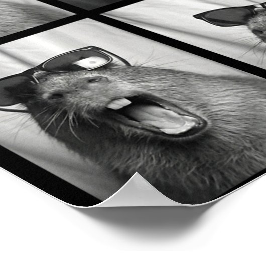 Poster Cool Capybara With Sungles Photobooth Funny Rodent (Coin)