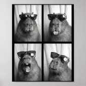 Poster Cool Capybara With Sungles Photobooth Funny Rodent (Devant)