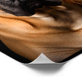 Poster Cool Dog Sungles Bullmastiff Funny Look (Coin)