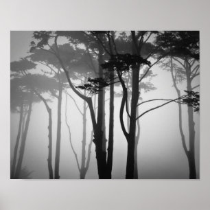 Poster Cool Et Bruyant