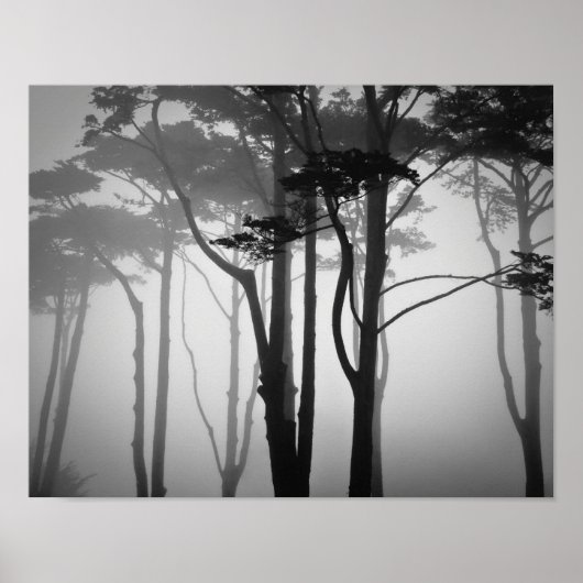 Poster Cool Et Bruyant (Devant)