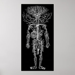 Poster Cool Funny Geek Homme's Circulatoire Système Perso