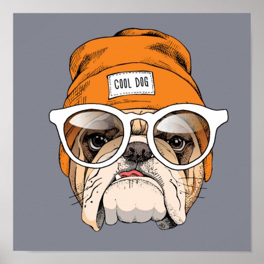 Poster Cool Hipster Bulldog (Devant)