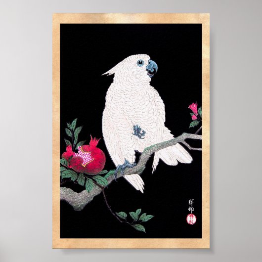 Poster Cool japonais blanc de cockatoo perroquet oiseau t (Devant)