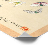 Poster Cool japonais vintage ukiyo-e papillon scroll (Coin)