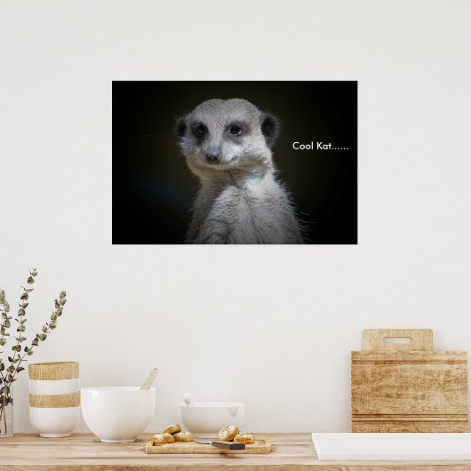 Poster Cool Kat...... (Cuisine)