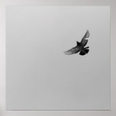 Poster Cool Moderne B&W volant oiseau simple design moder (Devant)