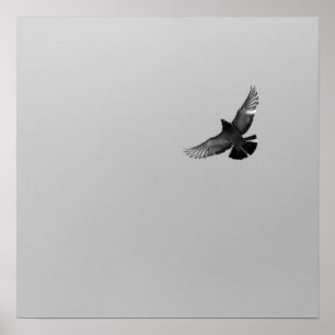 Poster Cool Moderne B&W volant oiseau simple design moder