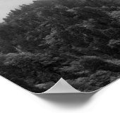 Poster Cool, nature brumeuse magique (Coin)