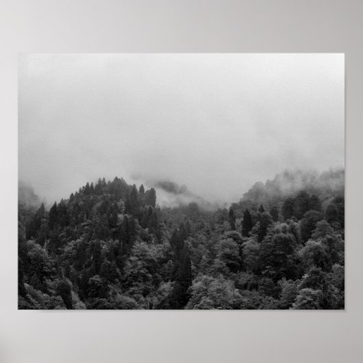 Poster Cool, nature brumeuse magique (Devant)
