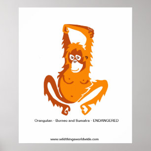 Poster Cool ORANGUTAN - Animal en voie de disparition