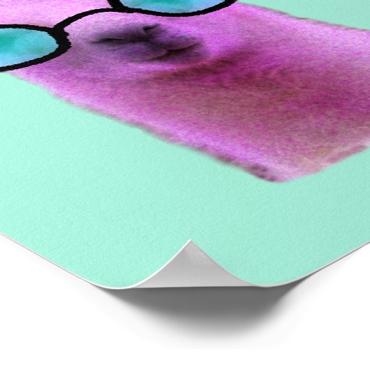 Poster cool Pink Llama (Coin)