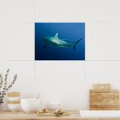 Poster cool Reef Shark (Cuisine)