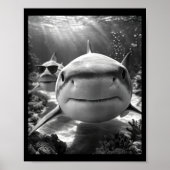 Poster Cool Shark Animal Selfie  (Devant)