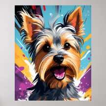 Cool Yorkie