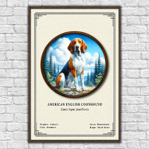 Poster Coonhound américain Série de zoologie
