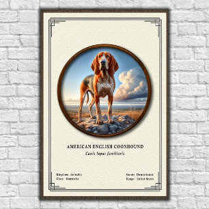 Poster Coonhound américain Série de zoologie